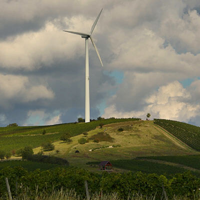 Windenergie in 2019 kollabiert